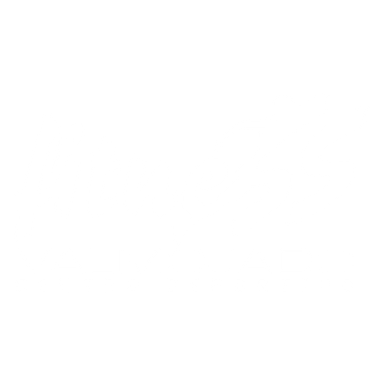 LOGO FINTESS VALMOJADO (CON FONDO)