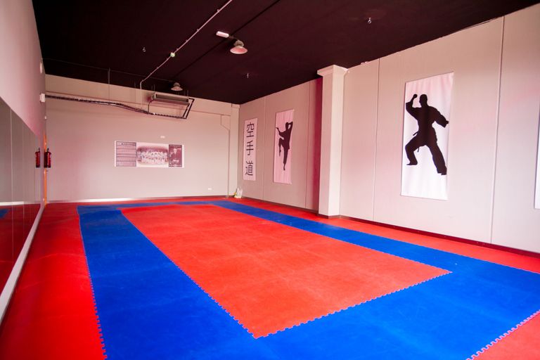 KARATE, YOGA, PILATES GIMNASIO FITNESS VALMOJADO